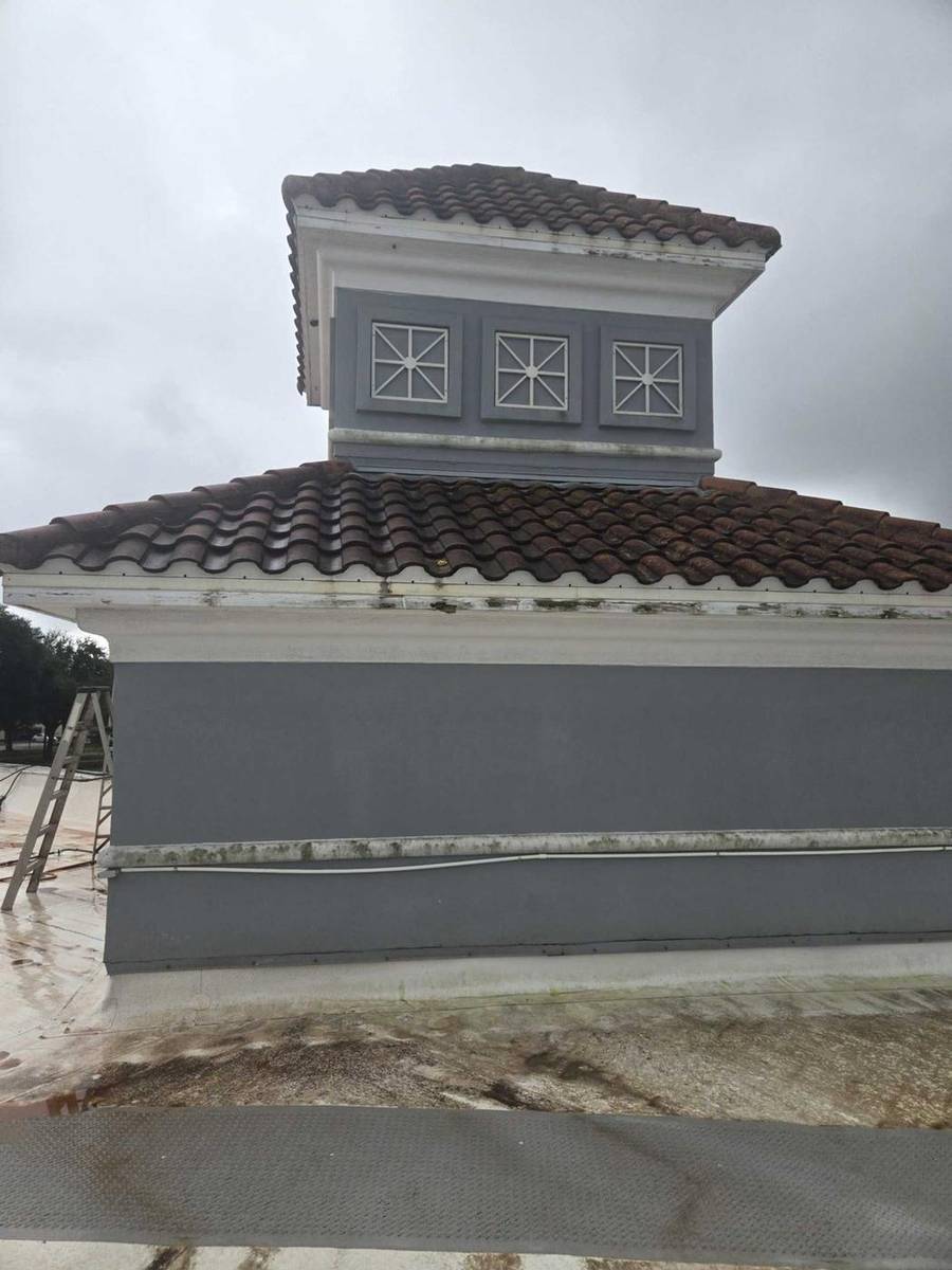 Metro West roof after soft washing