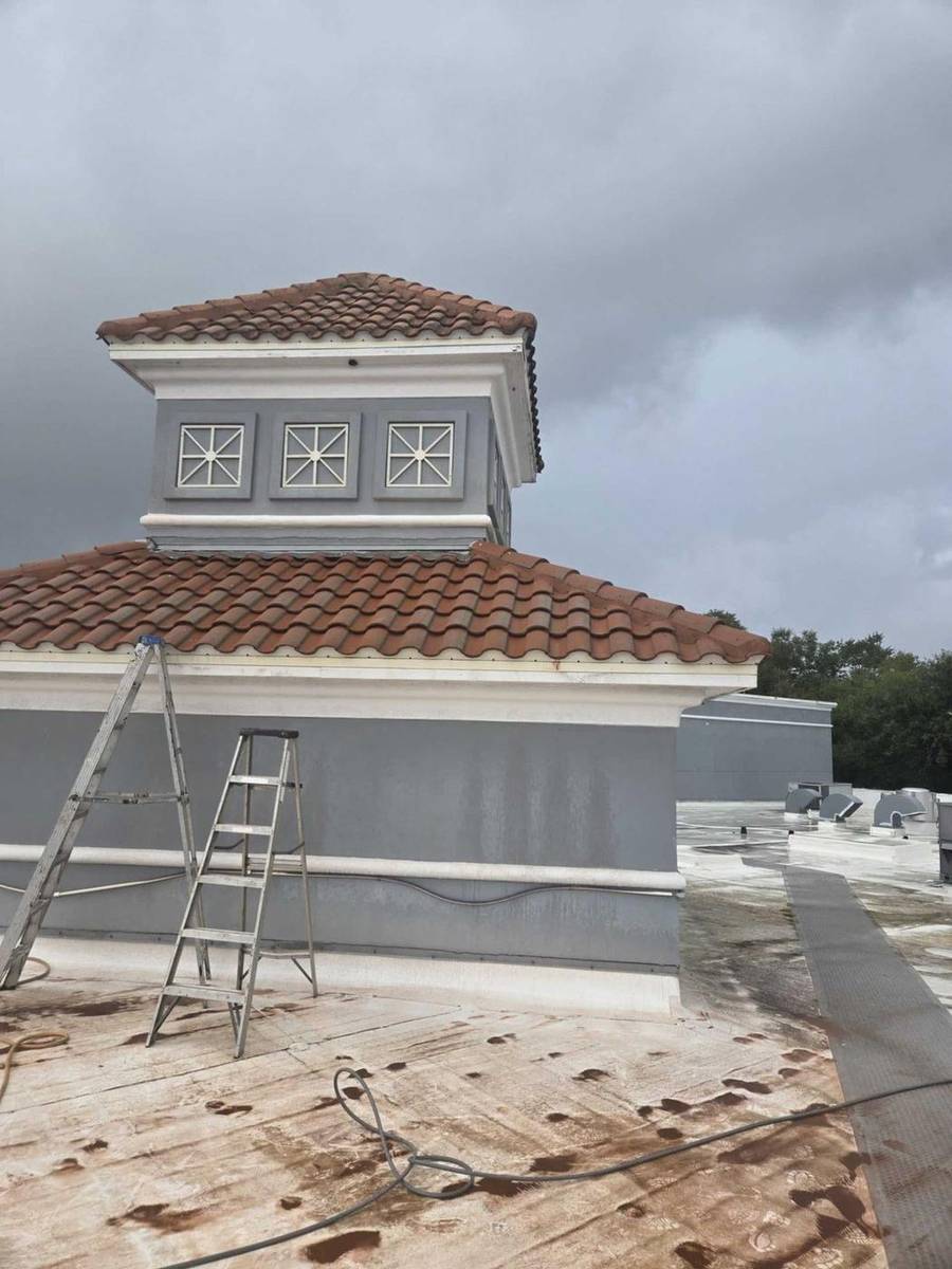 Metro West roof before soft washing