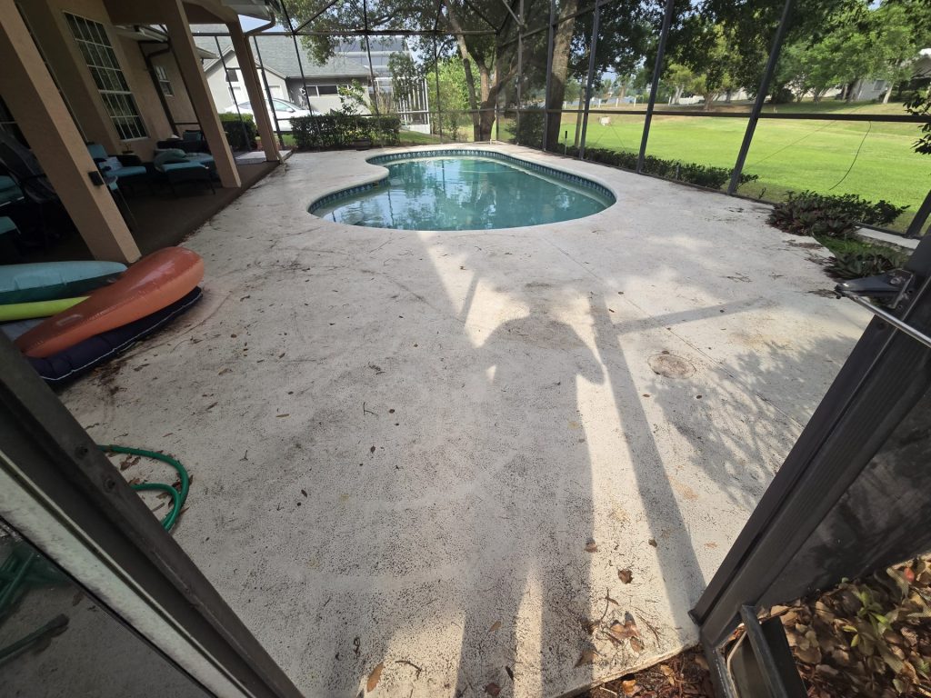 Orlando Fl Pool Deck & Screen Enclosure Cleaning Before