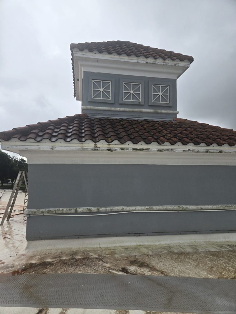 Metro West Fl Roof Softwash Before