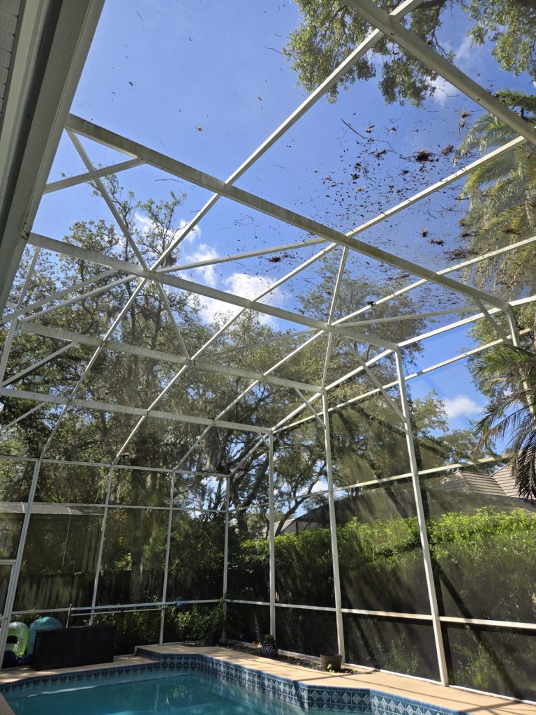 Winter Springs Pool Enclosure Cleaning Before